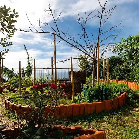 Jolie Maison Vue Sur L'ocean Funchal (Madeira)