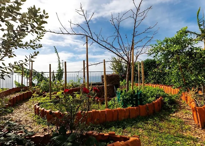 Jolie Maison Vue Sur L'ocean Funchal (Madeira)